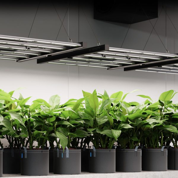 PAINEL LED GROW IONFRAME EVO6, Samsung LM301H EVO Commercial LED Grow Light, 500W, 4x4 ft. - Imagem 8
