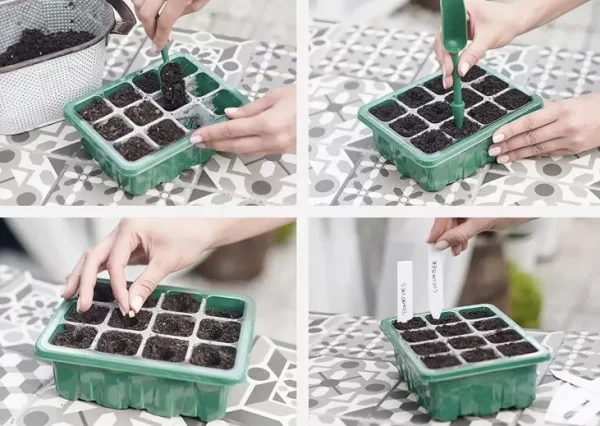 PROPAGATOR 12 - Estufa para Germinação - 12x16x15cm - Imagem 6